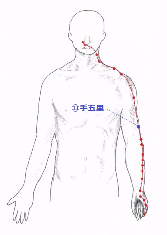 手五里（てごり）穴の位置・治療効果【手の陽明大腸経】 - 五行舘 山川鍼灸療院