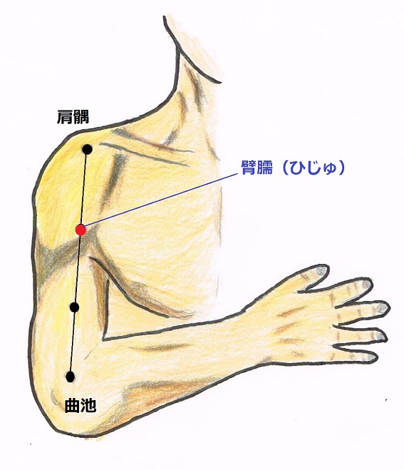 臂臑(ひじゅ)穴の位置・治療効果【手の陽明大腸経】 - 五行舘 山川鍼灸療院