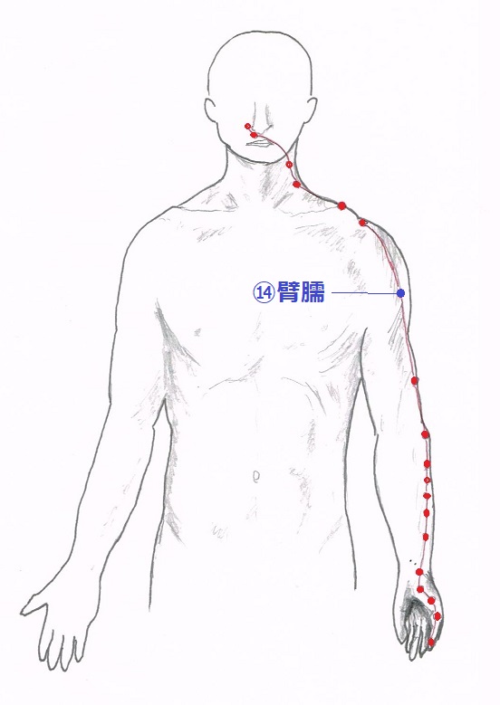 臂臑(ひじゅ)穴の位置・治療効果【手の陽明大腸経】 - 五行舘 山川鍼灸療院