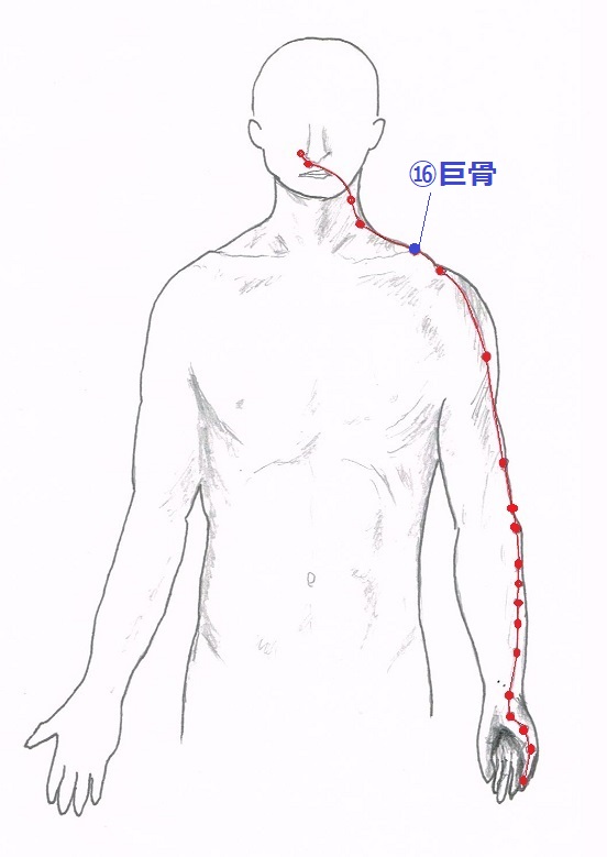 巨骨(ここつ)穴の位置・治療効果【手の陽明大腸経】 - 五行舘 山川鍼灸療院